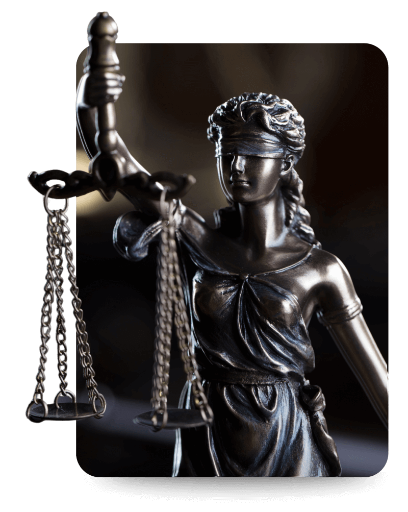 Fighting for the Justice